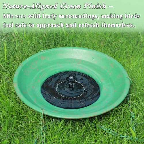 Bird-Friendly Green Colo