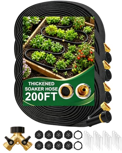 200 ft