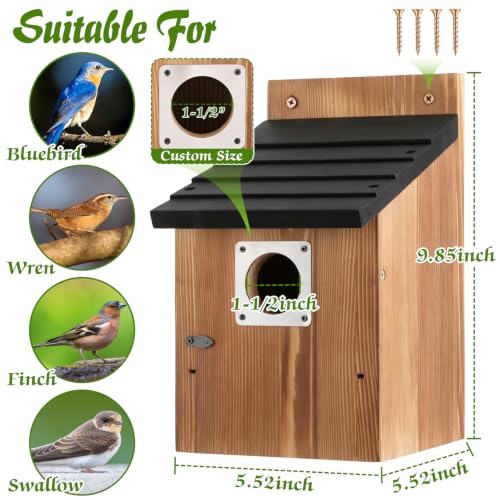 Bluebird Nesting Box(Black Roof