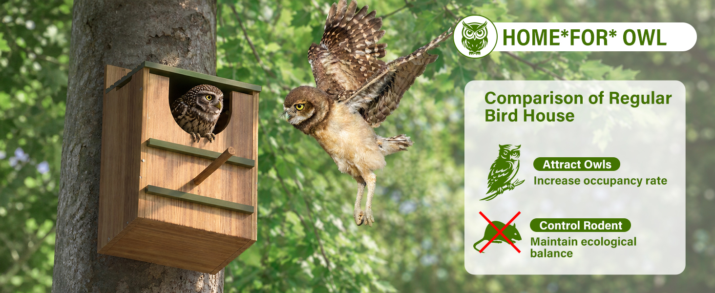 Owl House