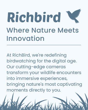 richbird brandstory