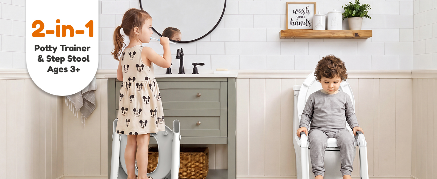 potty training toilet