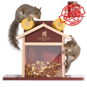WildYard Squirrel Feeder for Outside – Cedar