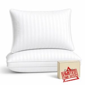 Calvin Klein Hotel Collection Bed Pillows Queen Size Set of 2 Medium Soft                                                          400 Thread Count 100% Cotton Damask Stripe Cover