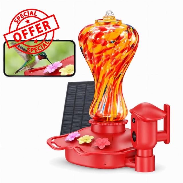 Hummingbird Feeder with Camera