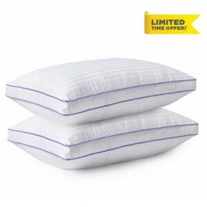 Dreamara King Size Pillows Set of 2 for Sleeping