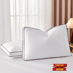 DOWNSTORIA Goose Feather Queen Down Pillows 2 Pack