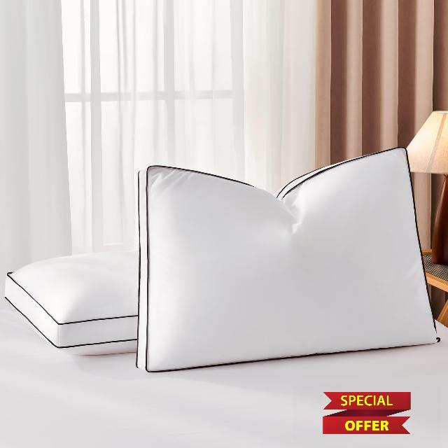DOWNSTORIA Goose Feather Queen Down Pillows 2 Pack