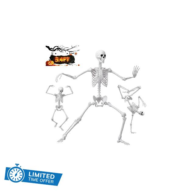 5.4FT/165cm Halloween Life Size Human Skeleton with Full Body Posable Joint                                                          Full Size Giant Stand Skeleton