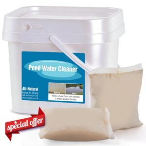 Natural Pond Water Cleaner