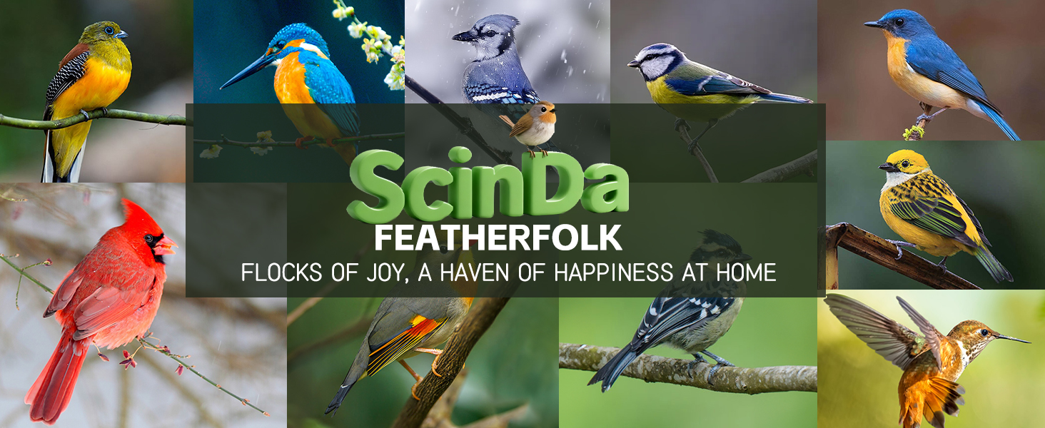bird feeders for outdoors squirrel proof bird feeders