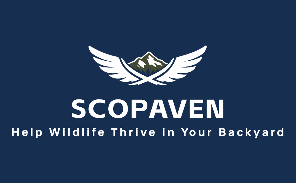Help wildlife thrive in your backyard