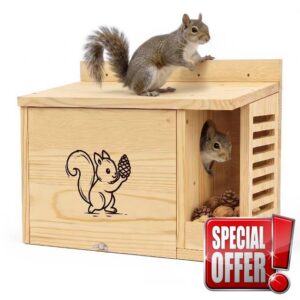 Squirrel House with Feeder