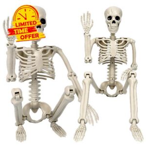 2 Pack Skeleton Halloween Decorations-3 ft Full Body Posable Joints                                                          36'' Plastic Human Skeletons for Halloween