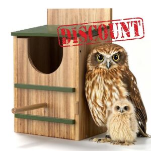 Owl House for Outside