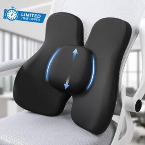 Lumbar Support Pillow
