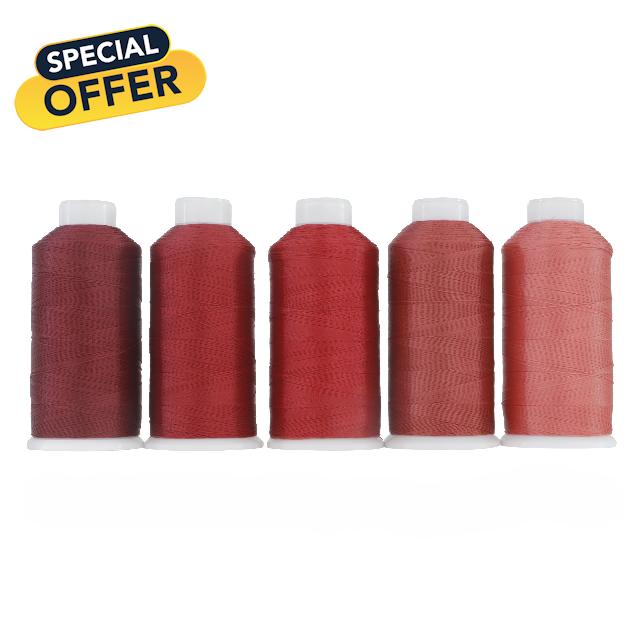 Heavy Duty Bonded Nylon 66 Sewing Thread 210D/3 T70#69 5 Colors per Set 1500Y per Cone for Canvas Furniture Upholstery Leather Goods Automotive Leather Footwear Outdoors (5 Colors Set-4)