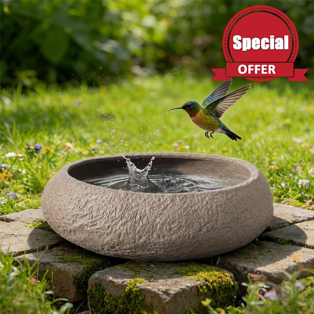 FoldTier Stone Bird Bath 9.25 Inch Natural River Stone Bird Bath Bowl Only                                                          Weather Resistant Ground Level Bird Bath for Outdoor Tabletop Ground Patio Balcony Lawn Garden Decor Gift for Birds Lovers