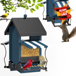 Squirrel Proof Wild Bird Feeder for Outdoors