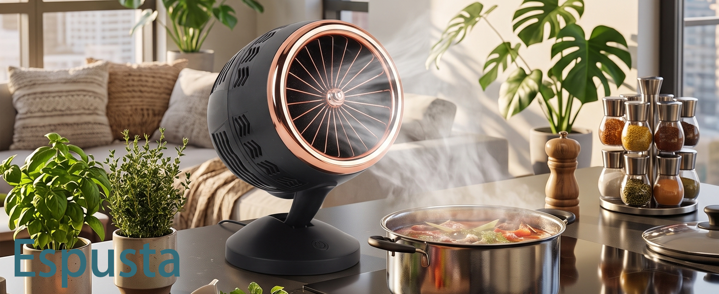 Portable Range Hood-1