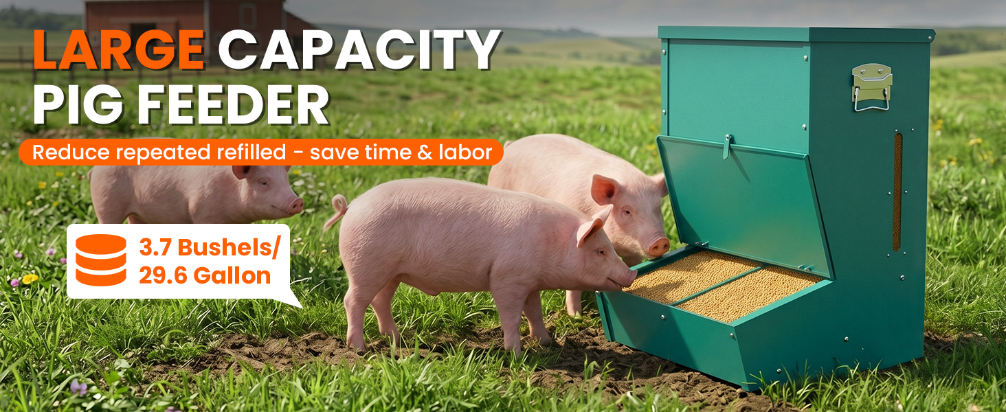 heavy duty pig feeder