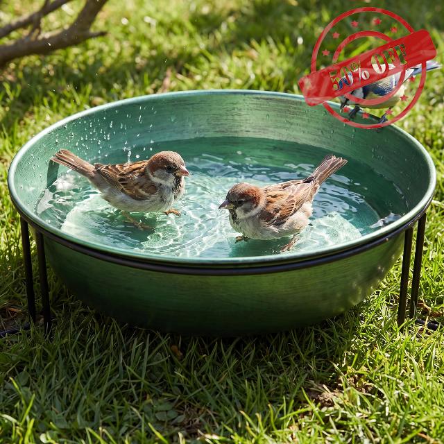 13" Metal Bird Bath for Outside