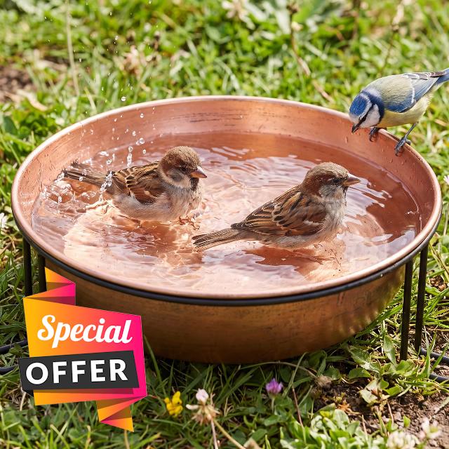 13" Metal Bird Bath for Outside