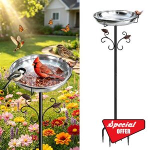 50" Tall Stainless Steel Bird Bath for Outside