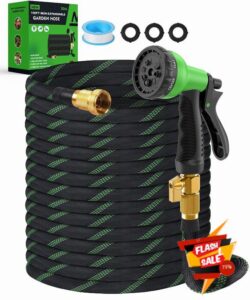 100ft Garden Hose