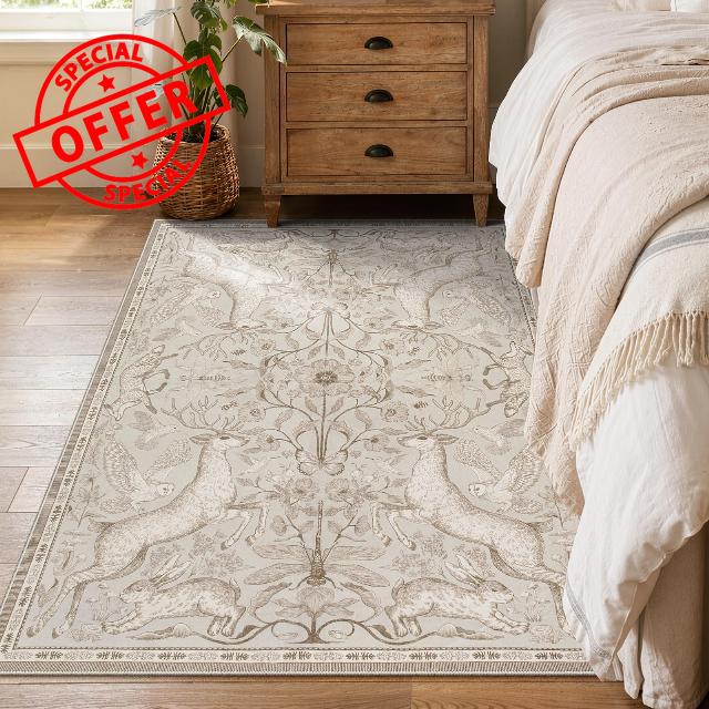 Lahome 3x5 Washable Area Rug for Bedroom