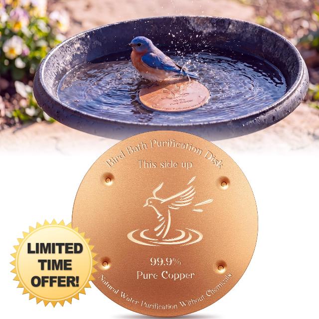 MorningRo 8 Pcs 4'' Copper Disc for Bird Bath