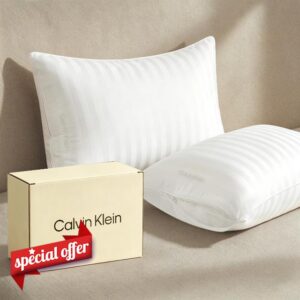 Calvin Klein Feather Down Bed Pillows Queen Size Set of 2
