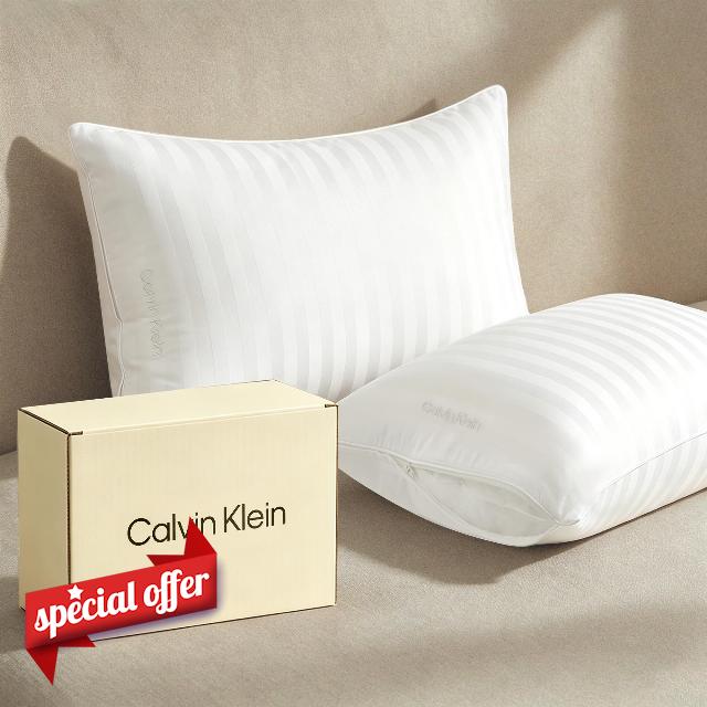 Calvin Klein Feather Down Bed Pillows Queen Size Set of 2