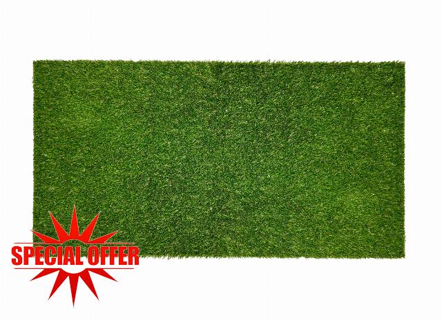 Porch Potty Standard Artificial Replacement Grass for Dogs (4 ft x 2 ft)                                                          Realistic Artificial Grass for Dog