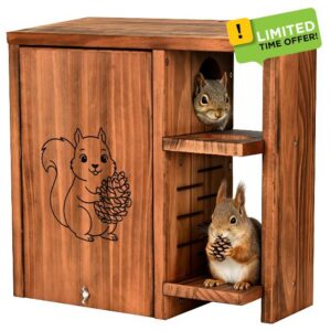 Large Squirrel Box 15.7 Inches