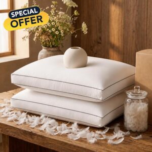 Goose Feather Down Fiber Pillows Queen Size Set of 2