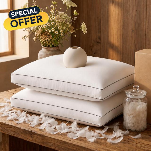 Goose Feather Down Fiber Pillows Queen Size Set of 2