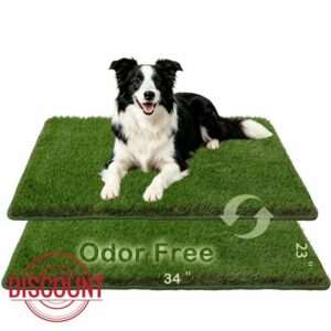 Artificial Grass
