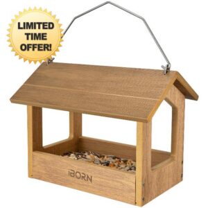 iBorn Pavilion Bird Feeder