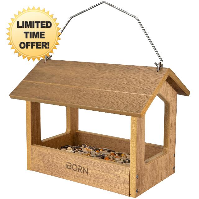 iBorn Pavilion Bird Feeder
