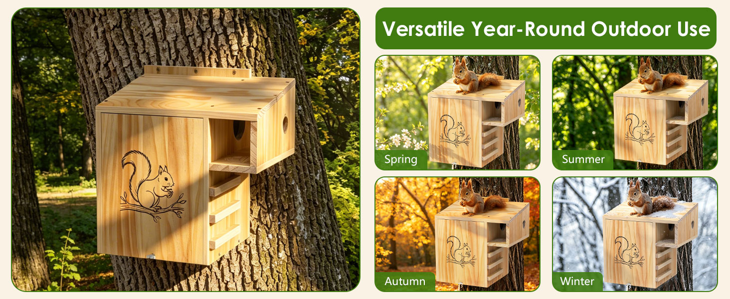 squirrel box kit