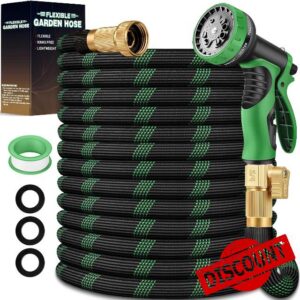 100 ft Garden Hose