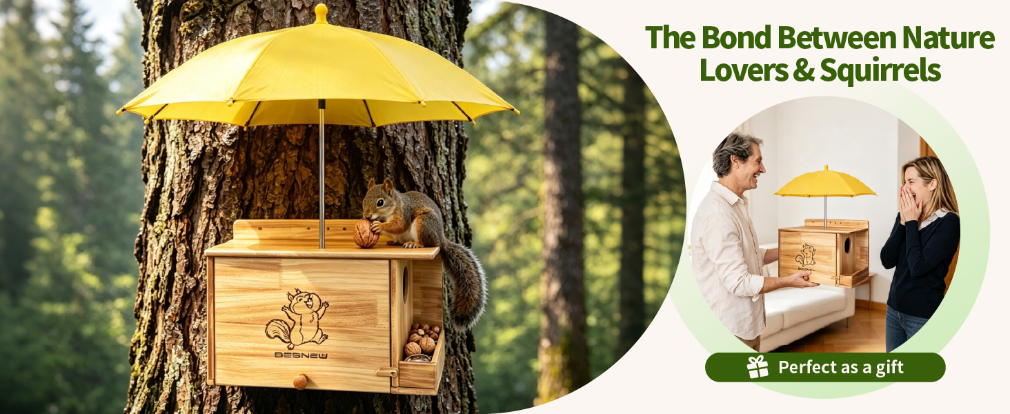 squirrel boxes