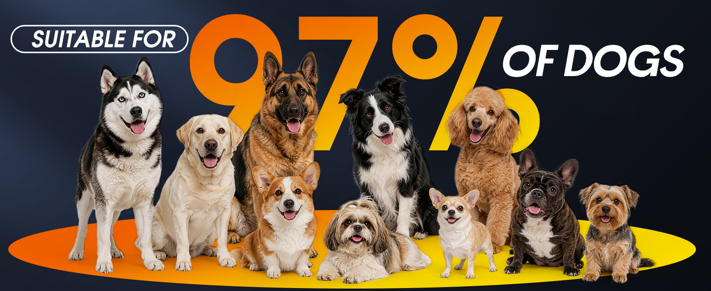 Automatic Bark Box Ultrasonic Dog Bark Deterrent Device for Dog Training