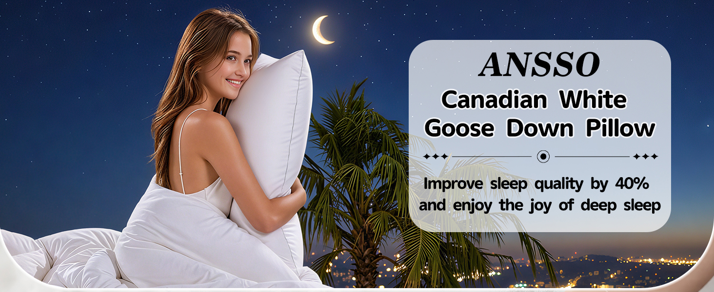 goose down pillows standard