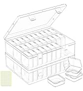 DILIBRA Bead Organizer Box, 31 Pcs Small Bead Organizers and Storage Plastic Cases, Mini Clear Di...