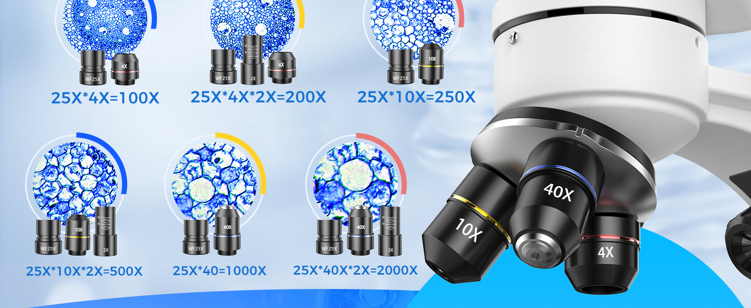 Compound Binocular Microscope