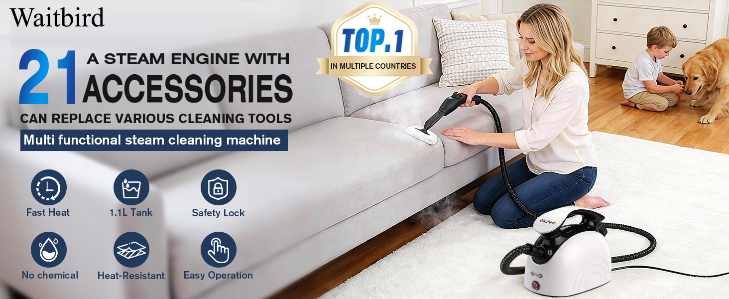 Steam cleaner