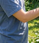 Cordless Electric Pruning Shear