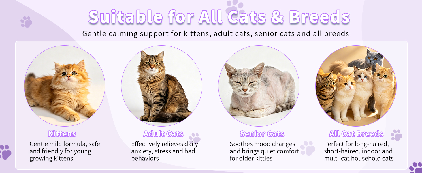Alleviate Cat Anxiety and Unwanted Behaviors